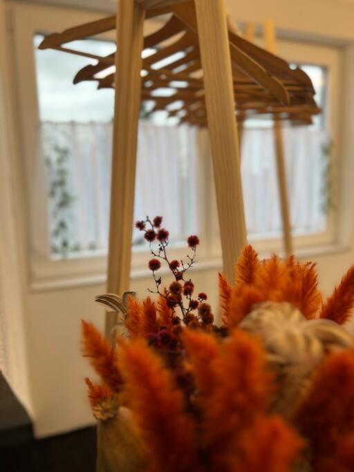 Boho Mit Aussicht Auf Gartenoase Naehe Duesseldorf Apartment *